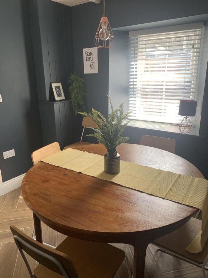 Min-Y-Fford Sleeps 6 Plus Pet ニューポート エクステリア 写真